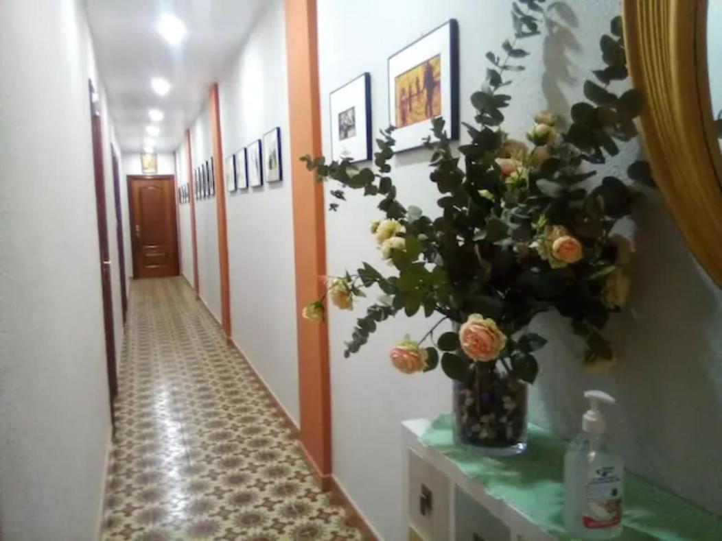 Las Golondrinas Zaragoza Habitacion Individual Dış mekan fotoğraf